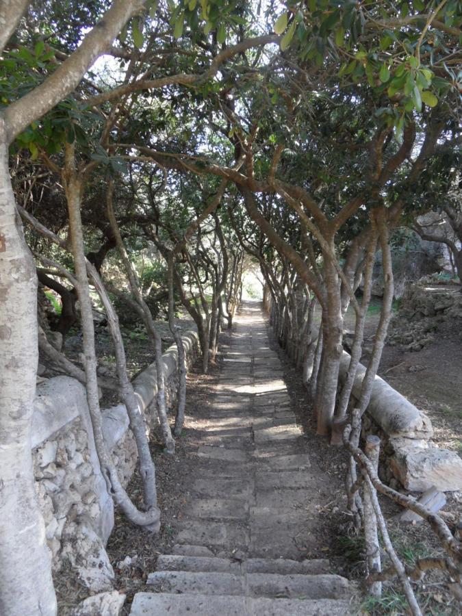 Villa Getty Cala en Forcat Bagian luar foto